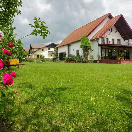 Готель Casa Florilor Куртя-де-Арджеш Екстер'єр фото
