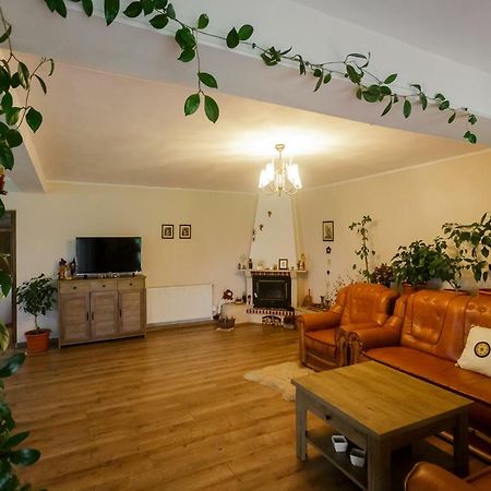 Готель Casa Florilor Куртя-де-Арджеш Екстер'єр фото