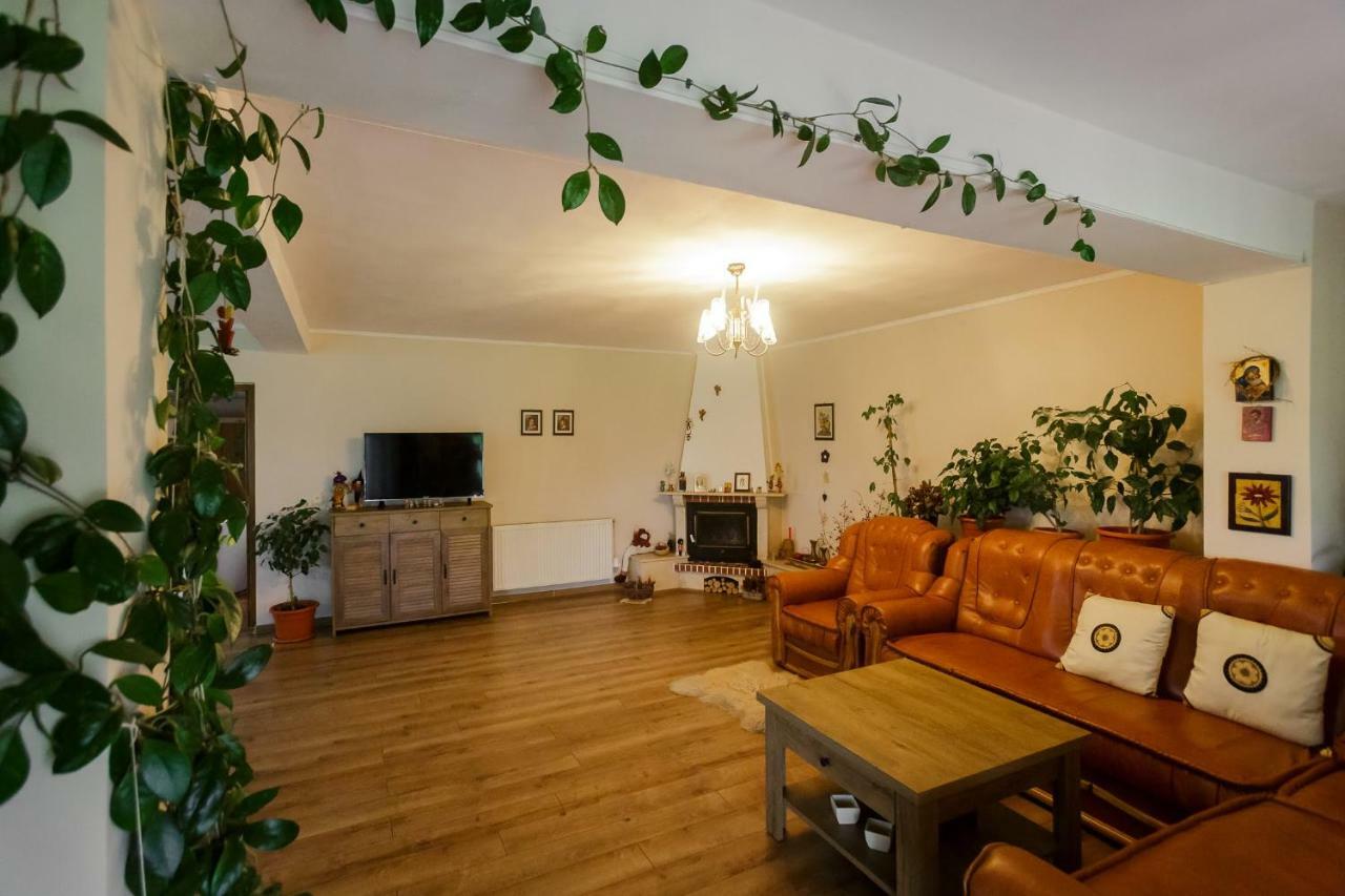 Готель Casa Florilor Куртя-де-Арджеш Екстер'єр фото