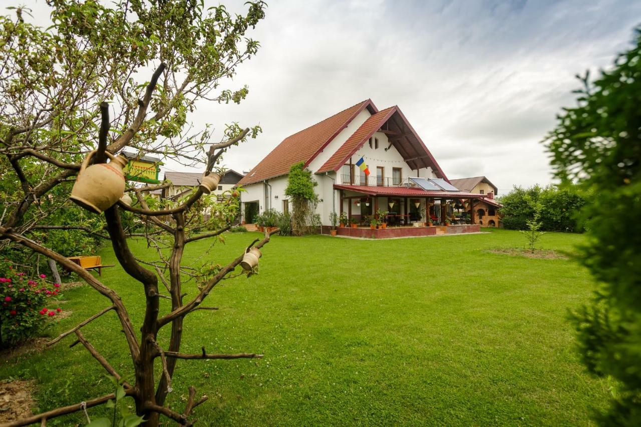 Готель Casa Florilor Куртя-де-Арджеш Екстер'єр фото