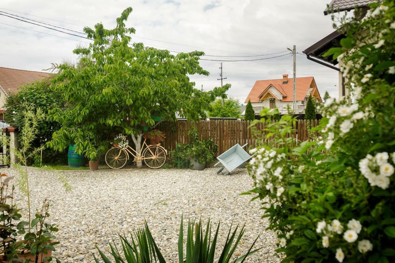 Готель Casa Florilor Куртя-де-Арджеш Екстер'єр фото