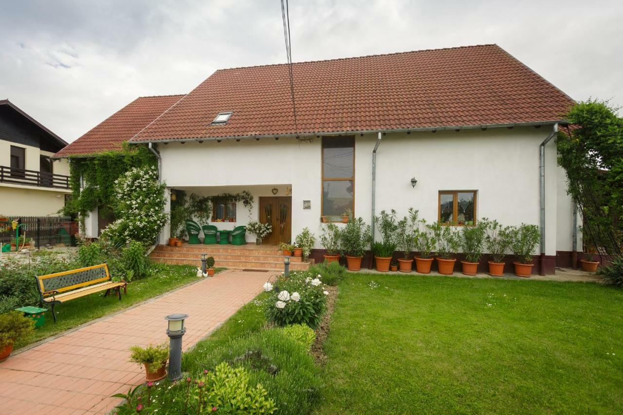 Готель Casa Florilor Куртя-де-Арджеш Екстер'єр фото