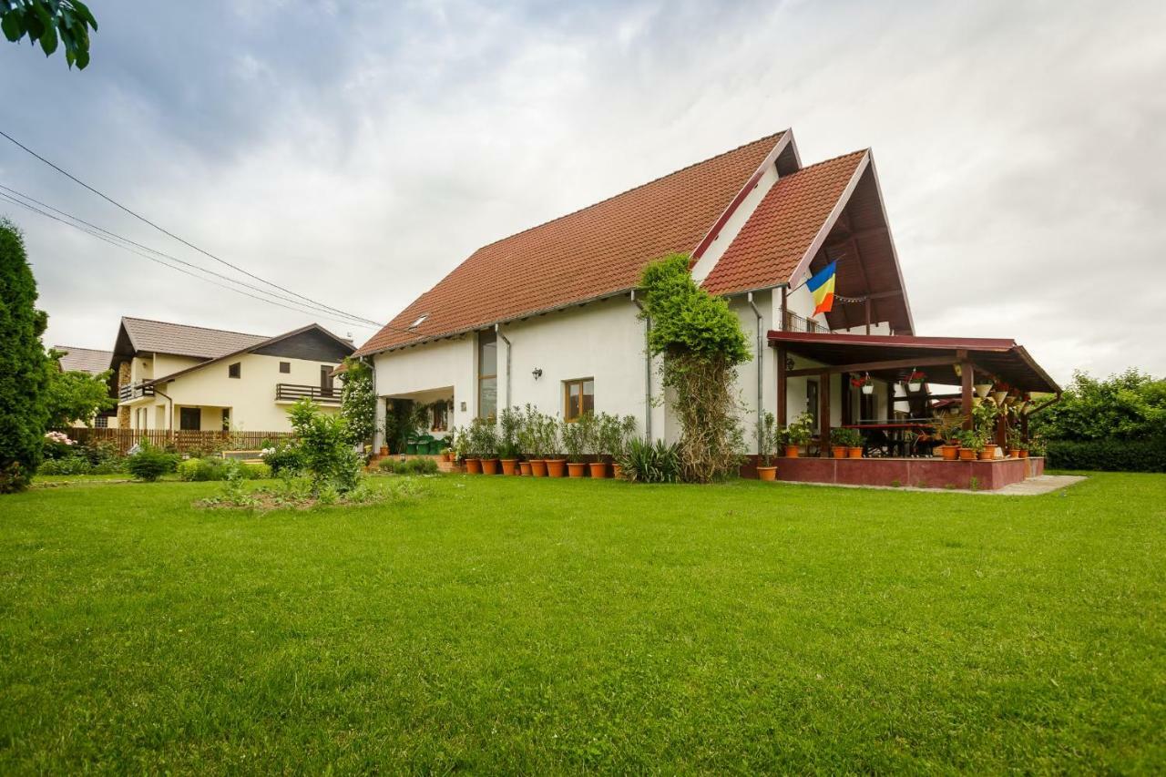 Готель Casa Florilor Куртя-де-Арджеш Екстер'єр фото
