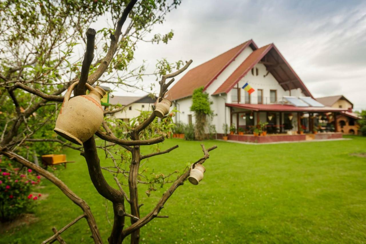 Готель Casa Florilor Куртя-де-Арджеш Екстер'єр фото