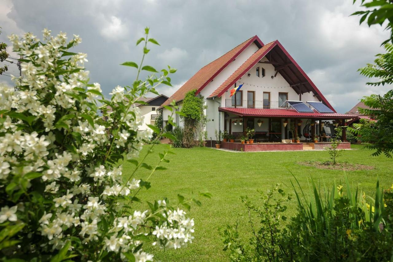 Готель Casa Florilor Куртя-де-Арджеш Екстер'єр фото