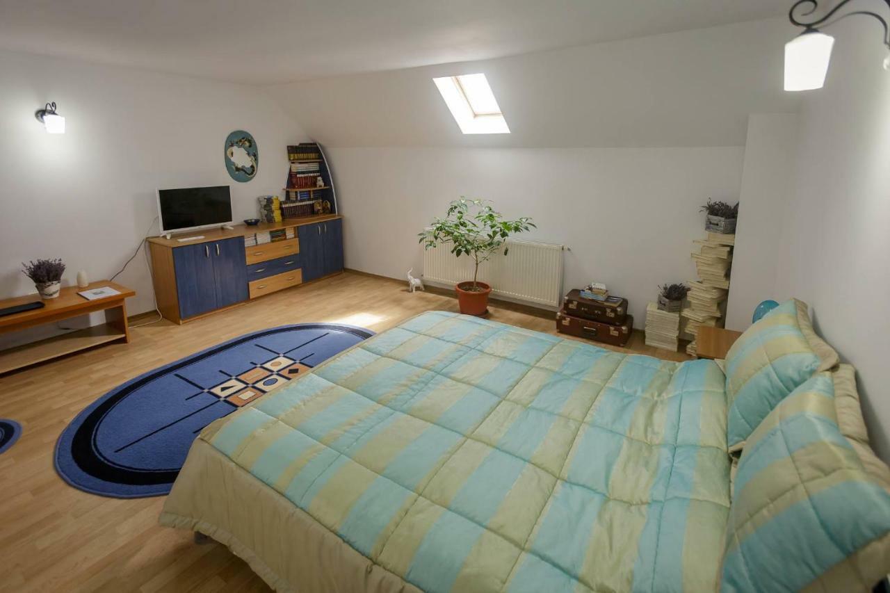 Готель Casa Florilor Куртя-де-Арджеш Екстер'єр фото