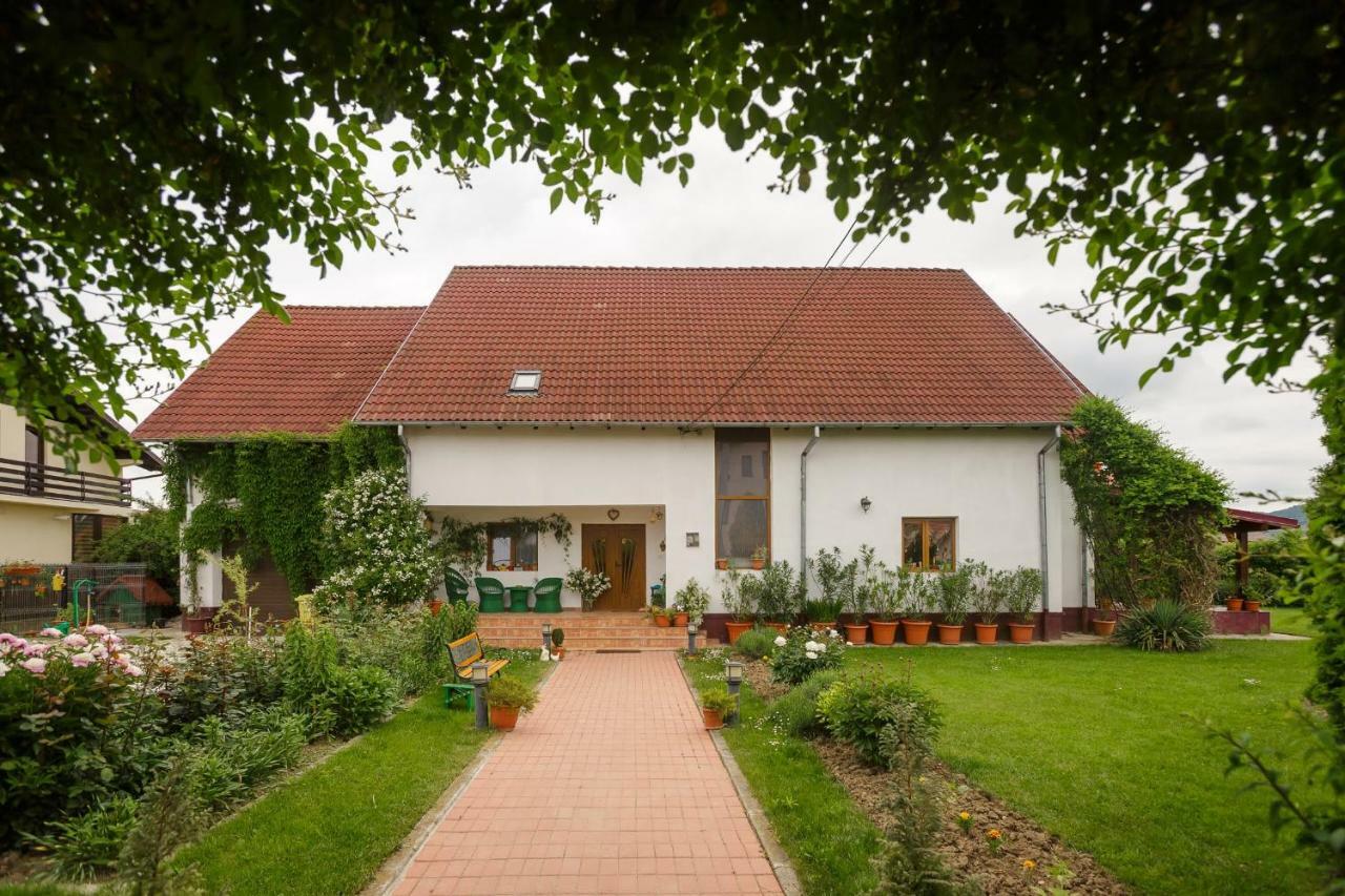 Готель Casa Florilor Куртя-де-Арджеш Екстер'єр фото
