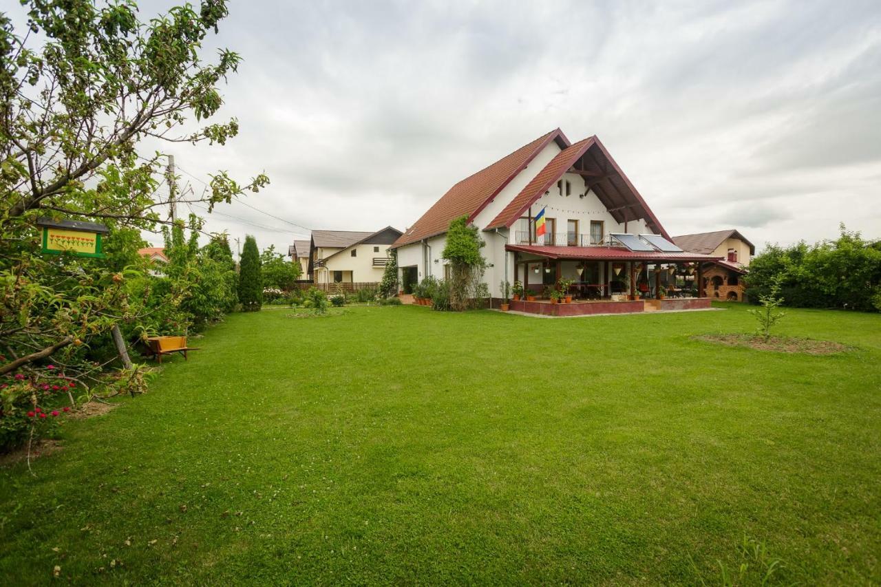 Готель Casa Florilor Куртя-де-Арджеш Екстер'єр фото