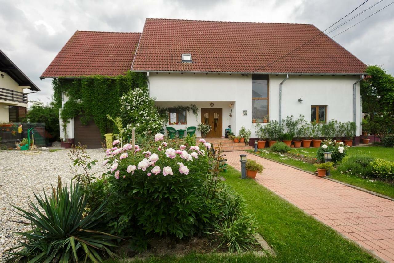 Готель Casa Florilor Куртя-де-Арджеш Екстер'єр фото