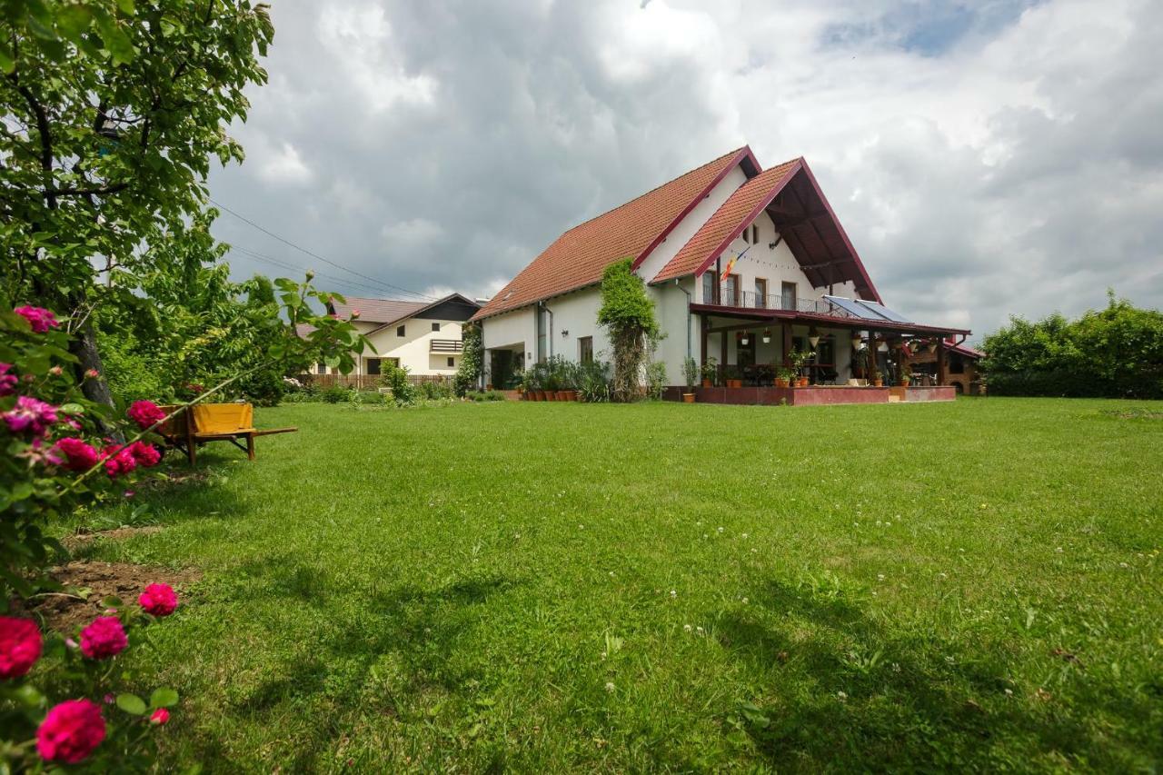 Готель Casa Florilor Куртя-де-Арджеш Екстер'єр фото
